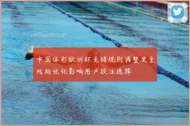 中国体彩欧洲杯竞猜规则调整奖金结构优化影响用户投注选择